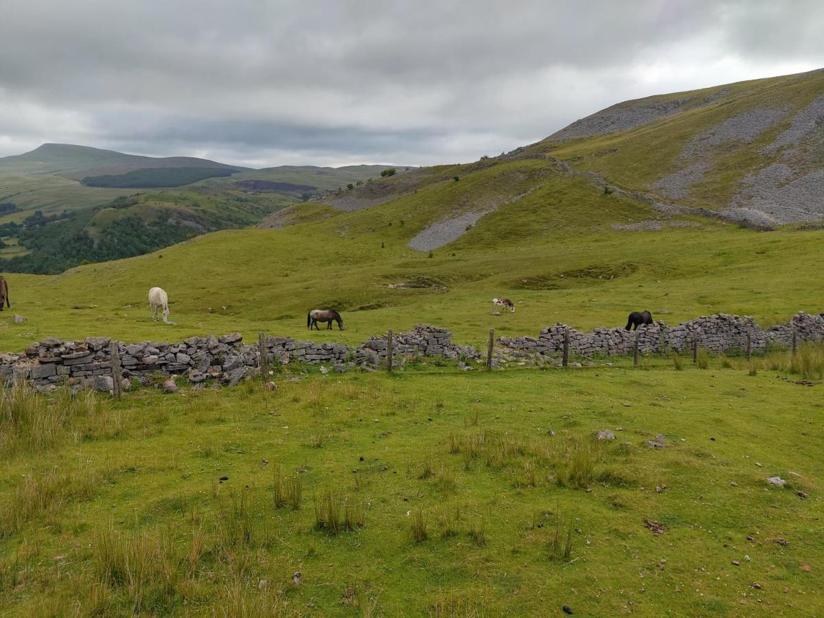 Pentre Cottage Near Craig Y Nos Pen-y-cae  Kültér fotó